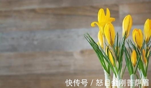 生肖|1天后，知冷暖，真心不变，大运将至，财气盛，收获金玉良缘