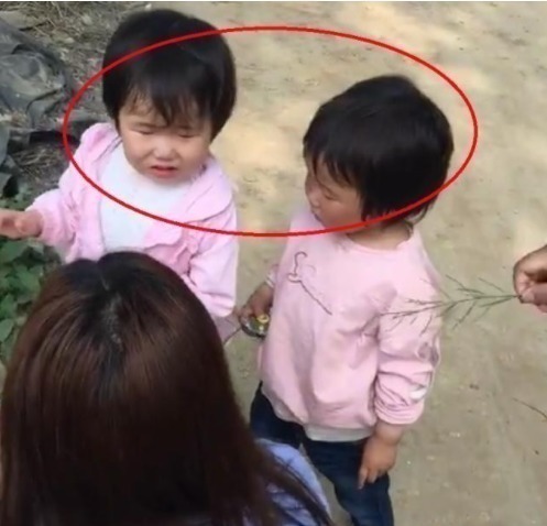 倩倩|双胞胎姐妹，一个天天喝牛奶，一个从不喝牛奶，三年后差距明显