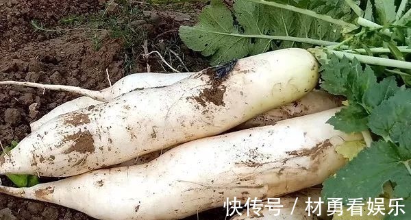 风热感冒|很珍贵的40个调病小验方,在家都能做!一次收藏,方便一辈子!