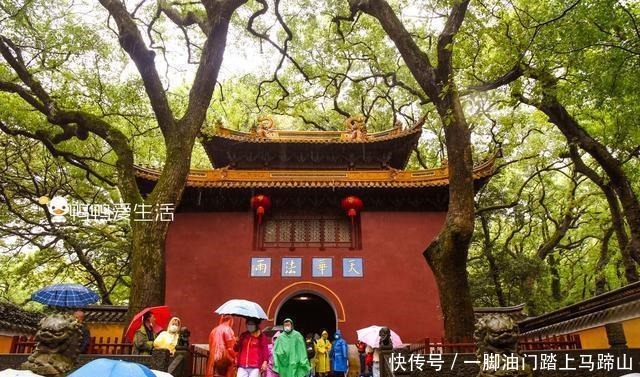 九龙藻井|普陀山三大寺之一，镇寺之宝来自南京明故宫，寺名来自康熙御赐！