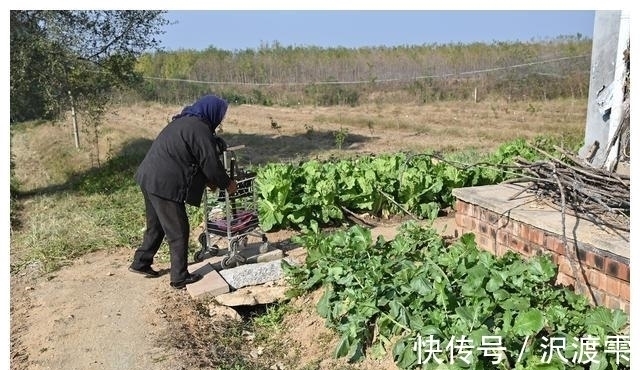 秘诀|100岁奶奶,饭前习惯特殊,至今满头黑发,看长寿秘诀是啥
