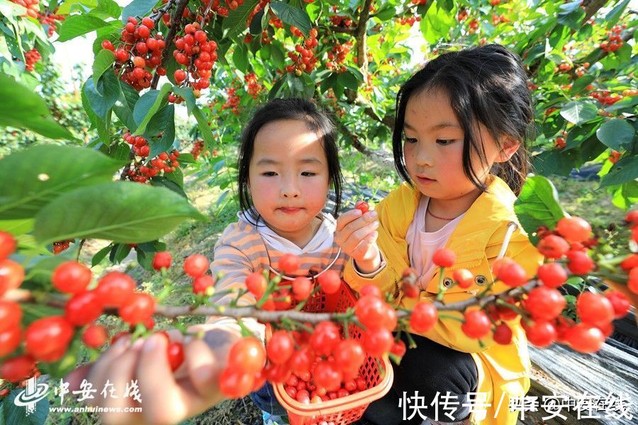 合肥|美丽安徽：胜日寻芳景 皖山皖水情