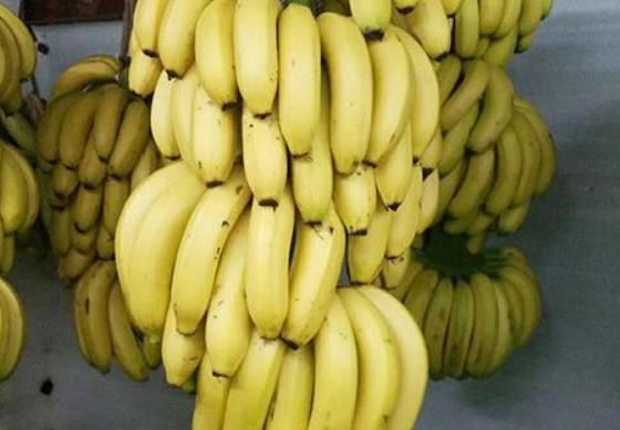 聪明的人最爱吃四种食物,排毒养颜、滋补身体,有益健康