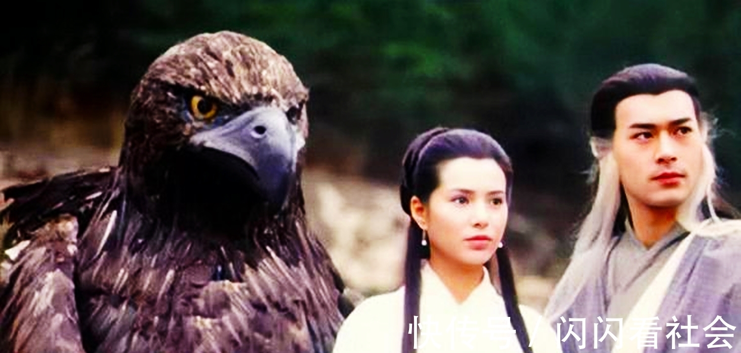 公孙止&小龙女冰清玉洁,为何会在绝情谷留下小孩衣服?杨过早已看穿一切