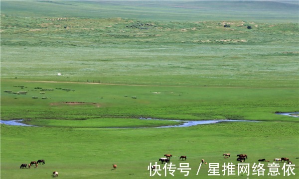 打卡|锡林郭勒千里草原游记④丨沉浸式体验草原必打卡的那些娱乐活动