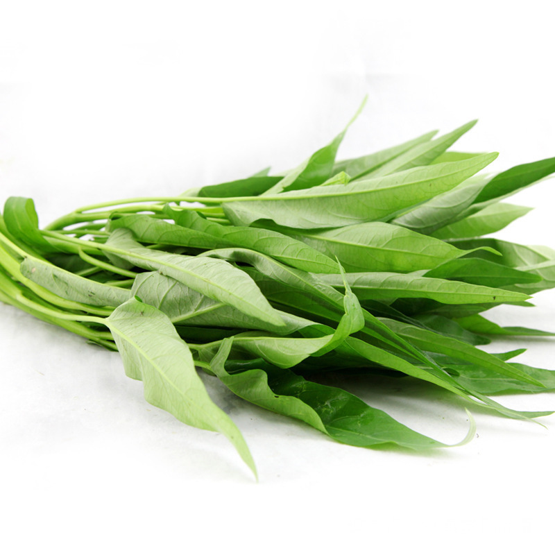 空心菜|它是三高克星,对吃此菜,降压降脂又降糖,清热解毒,谁吃谁健康