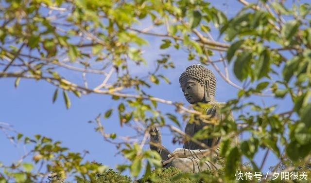 可惜|这四个字,字字值千金,不读可惜了