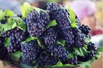  它是纯天然的“血管支架”, 每天坚持吃一点, 远离心血管疾病