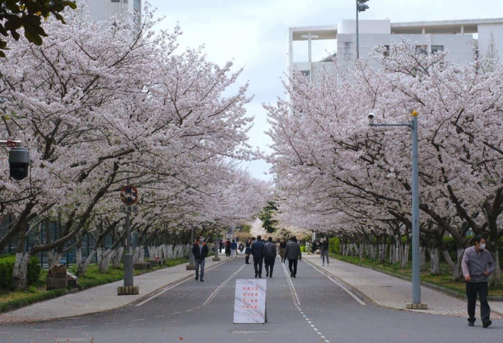 同济大学|同是坐落在一线城市的985，北航和同济，如今差距却越来越大