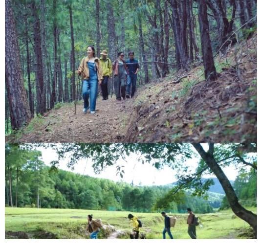《很高兴认识你2》定档，周迅领衔神仙综艺回归，飞行嘉宾好绝