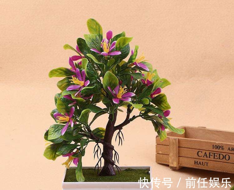 花都不会买,还谈什么养,教你买到正经靠谱的花花草草!