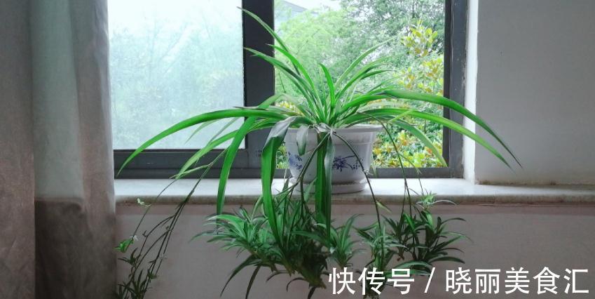 养花基本要求:浇水前后,不注意这些地方,真的要吃亏