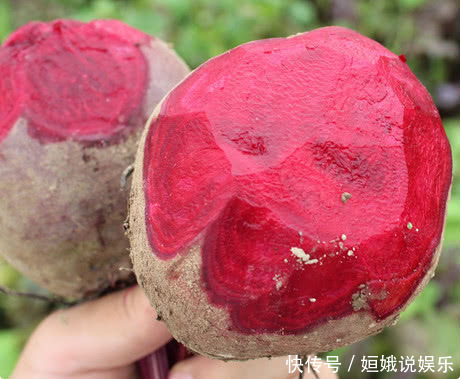 这菜是“补血能手”,比阿胶都养人,刮脂瘦肚子,美白补水皮肤好