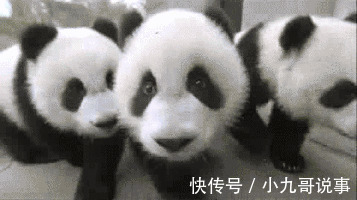 |10个幽默小笑话,开心一笑!