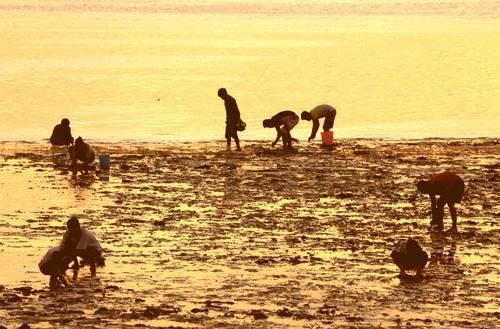 吃海鲜|日照旅游景点，六个必玩的景点外加吃海鲜攻略