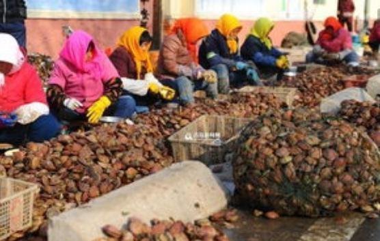 柿饼|提醒中老年花生瓜子要少吃,多吃这几物, 胜过天天去跑步