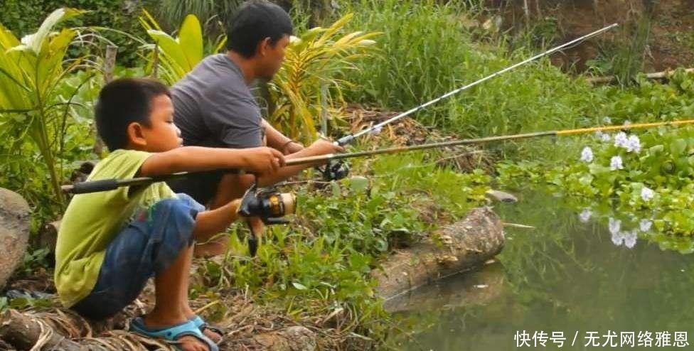 为何随便挖个水坑,时间久了就会有鱼?其实原理一说就明白