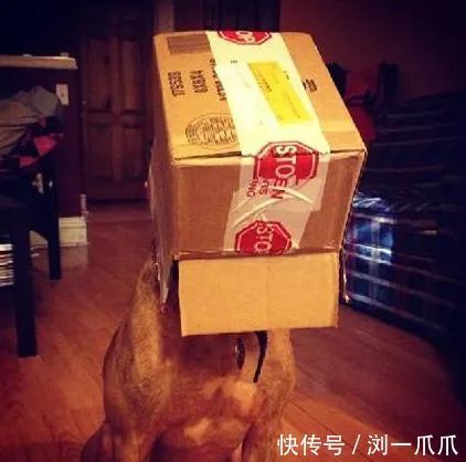 |搞笑GIF:喜欢上一个妹子,但是不知道她在练什么功夫