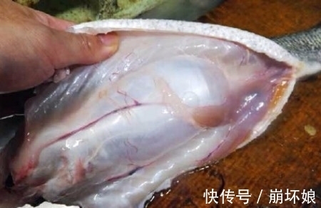 鱼肚子里有一种宝贝,杀鱼的老板都会藏起来,谁知道是啥?