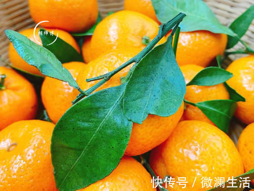 洞眼|吃橘子时,到底是“上火”还是“降火”?如果不懂,那就尴尬了