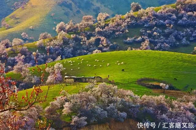 老年|如果一生只去一次新疆,这些地方你一定要知道
