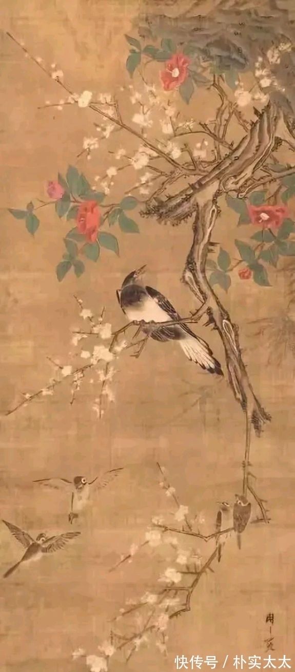 明代!周之冕|明代一位兼工带写的花鸟画家