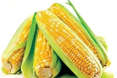 玉米不要用水煮,教你新吃法,简单方便,一天三餐吃不腻,你试试
