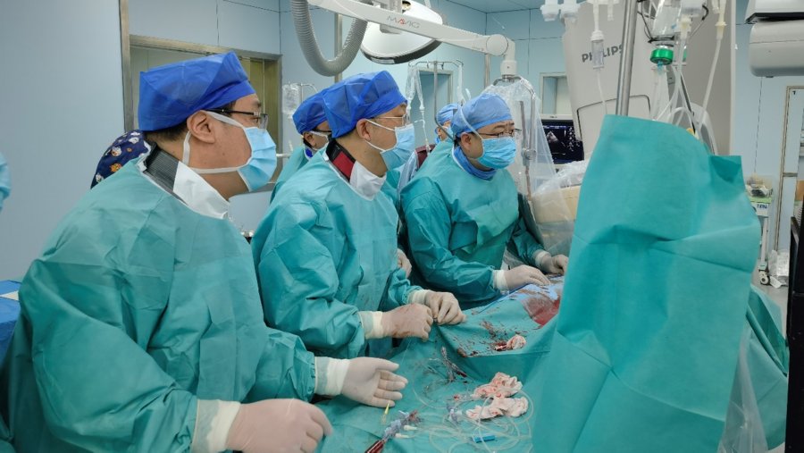 植入术|山东首例！齐鲁医院完成腔静脉入路经导管主动脉瓣植入术