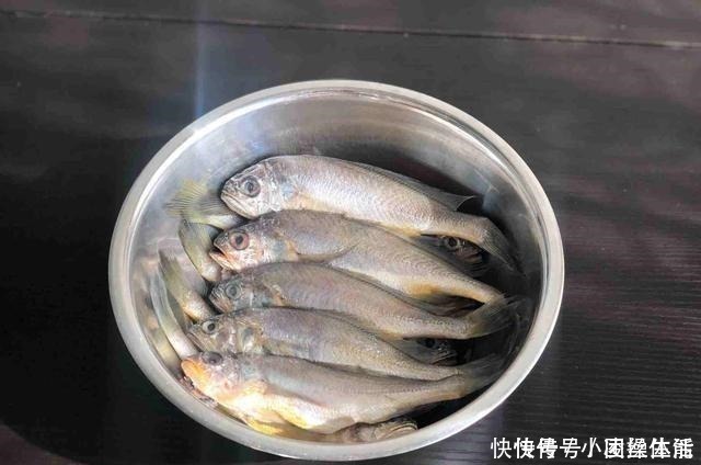 这种鱼,在我国产量大便宜到没人吃,营养比甲鱼还高,很少人知道!