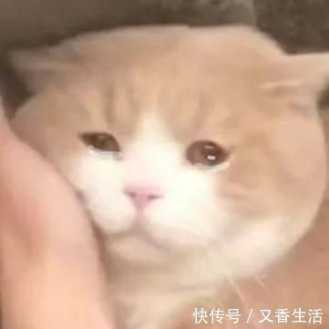 宝藏|20来块的指甲油、7块的小零食,最近买到的都是些什么宝藏哇!