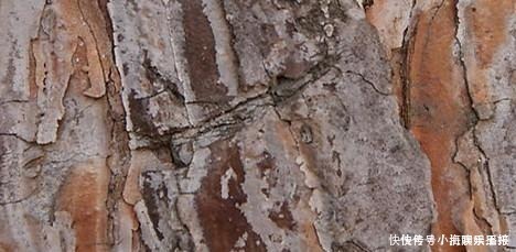 草木灰|古代女子没有卫生巾怎么办?原来她们有奇招