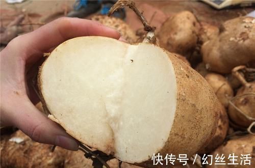 多元酚|人到中年后,建议吃的食物,排毒瘦身,刮油清肠,吃了都夸好