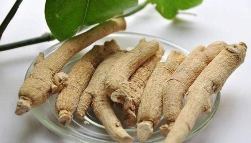 沙参|亲民的滋补野菜,比人参便宜很多,营养价值却超高,15一斤疯抢