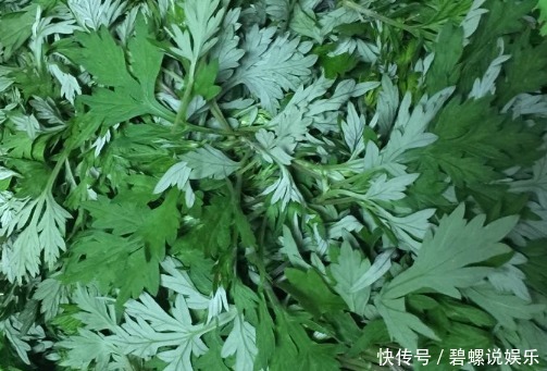 嫩艾|春天吃点植物界的“纯阳之草”,调肝脾、祛寒湿,赶跑女性妇科病