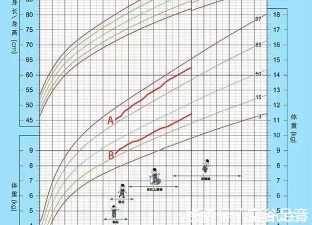 轨迹|你家孩子身高、体重正常吗?对照新版儿童生长曲线图,爸妈别大意