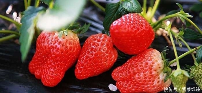 心肌缺血|高血压的“天然克星”来了,每天吃点,帮你快速降血压还无副作用