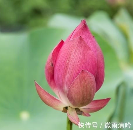 属相|步入10月,霉运散好运来,4属相运势转旺,喜事多见