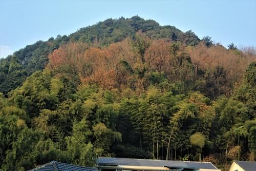 隐藏在西湖群山的村子，有800亩茶园，因茶被乾隆称赞而闻名天下