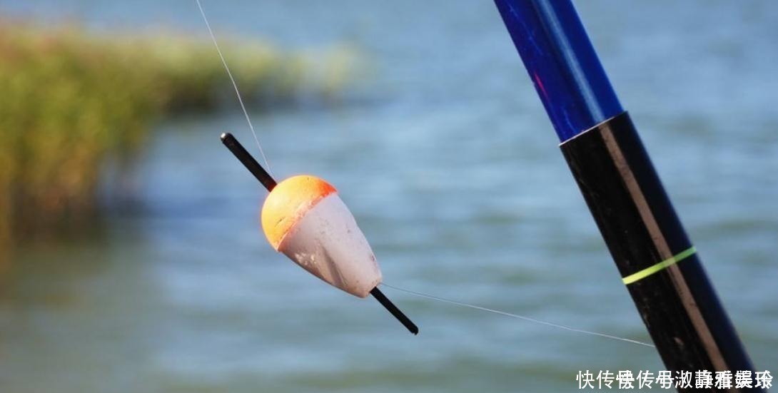 灵敏度|浮漂的“灵敏度”到底是指什么?原来有2个概念,很多钓友都不懂