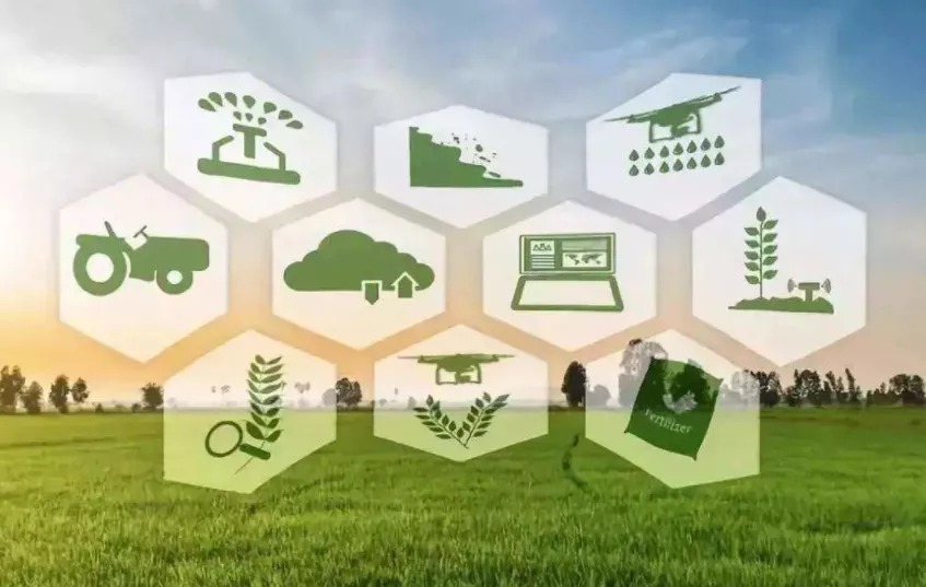 农业梦|阿里、拼多多、京东都在做的“农业梦”,行至中局