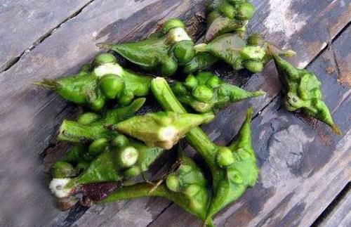 益气|女性吃了年轻的食物,推荐给你,排毒润肠,防止便秘,活血益气