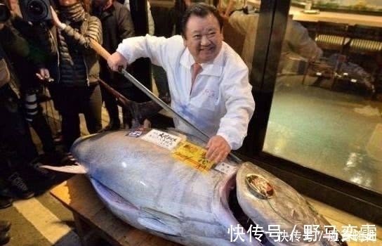 世界上最昂贵的五种食用鱼，一条几百万，叫人怎么下得了口！