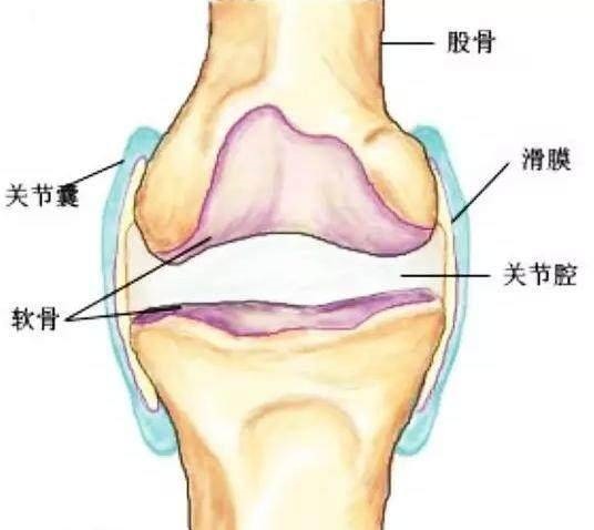 膝关节滑膜炎|膝盖肿走不了路老中医这个妙方,每天一次,滑膜炎连根拔除