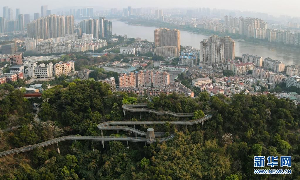 宋为伟|奋斗百年路 启航新征程·神州巡礼·图文互动丨福建：念好高质量发展的“山海经”