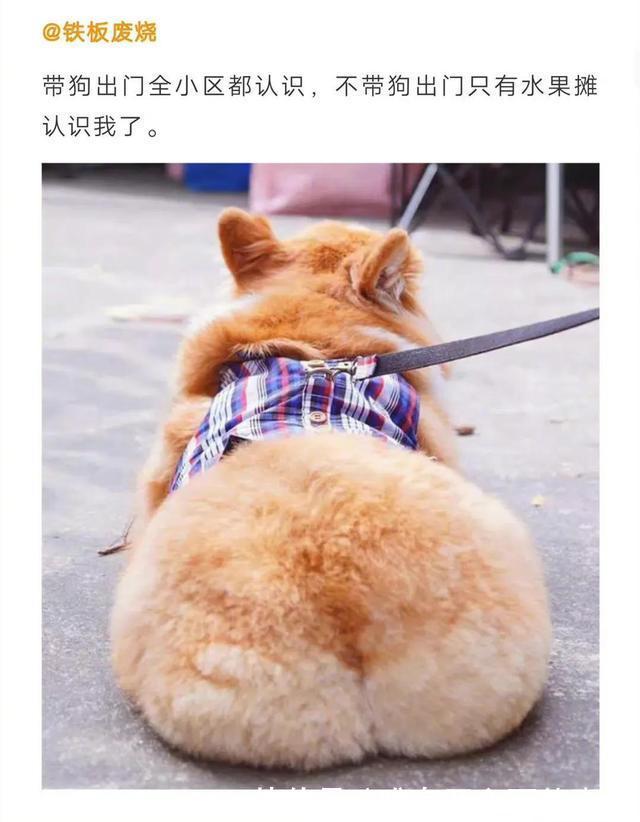 |这也太搞笑了吧