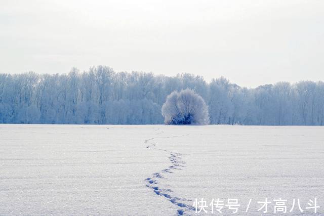 雪夜$看看10位名家笔下的雪景，太经典了！