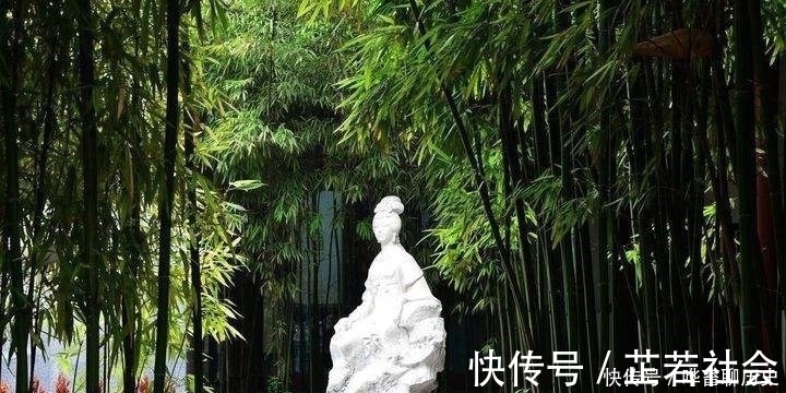 仕途|一位诗人科举十年没有高中,绝望之时写下一首诗,家喻户晓