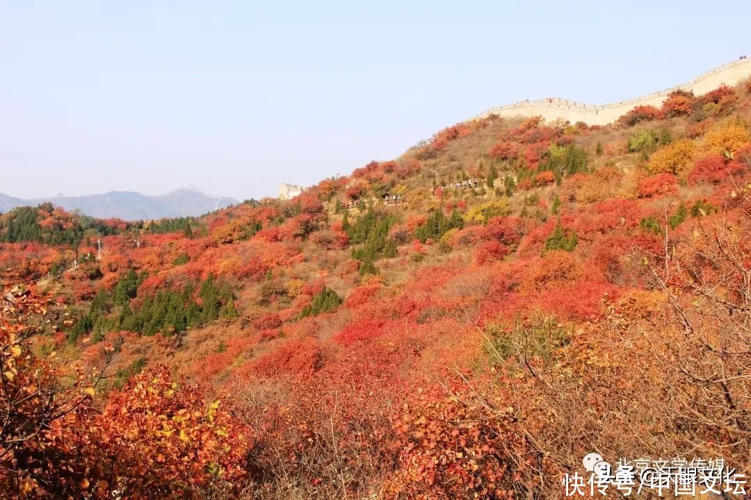  南乡|诗词十首《南乡一剪梅》《诗词飘香》车会成