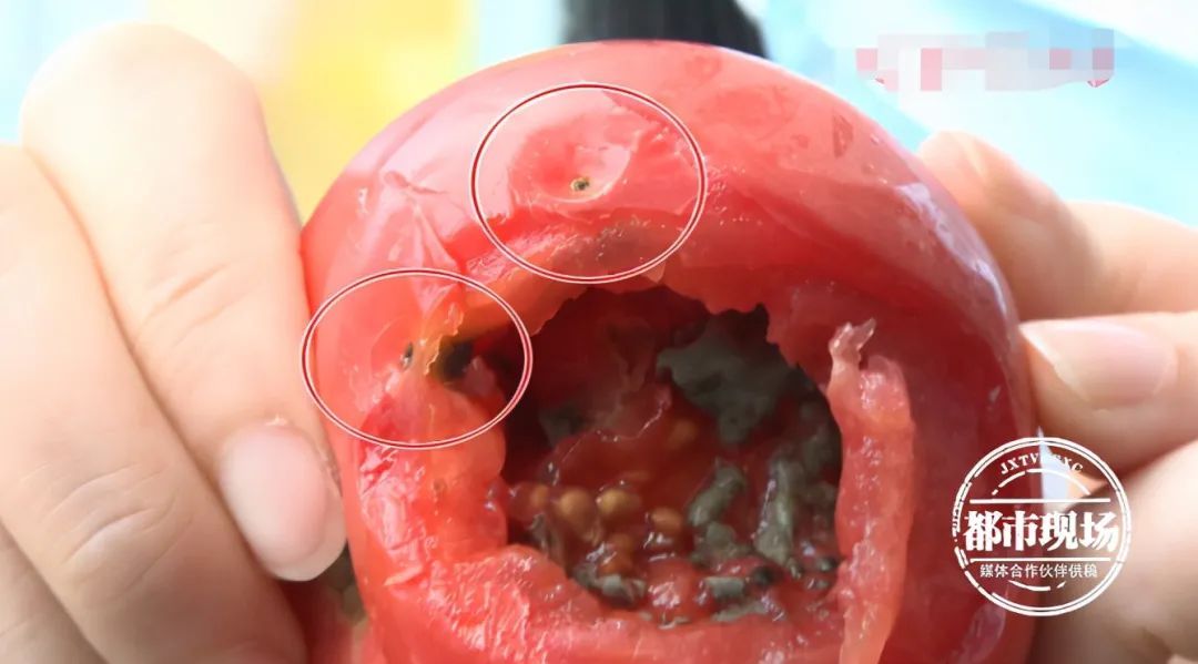 女子咬了口西红柿，里面的东西让她吐了