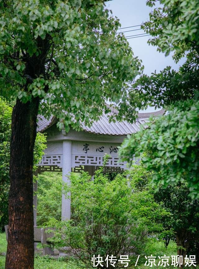 奖牌|舟山海岛第一村：三毛故乡，一场乡野游园会，一首优美乡村田园诗